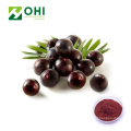 Acai Berry Extract Freeze Dried Powder